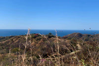 Pacific Heights Flamingo Ocean View Lot 4: Elevated Living with Ocean Vistas thumbnail