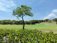 4 Bedroom, 5 Bathroom House in Reserva Conchal, Llama Del Bosque #27: Luxurious Living with Panoramic Views thumbnail