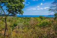 Cocobolo Lot #1 - Premium Ocean View Lot in Reserva Conchal: Prime Oceanfront Living thumbnail
