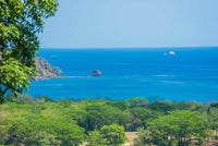 Cocobolo Lot #1 - Premium Ocean View Lot in Reserva Conchal: Prime Oceanfront Living thumbnail