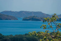 Cocobolo Lot #1 - Premium Ocean View Lot in Reserva Conchal: Prime Oceanfront Living thumbnail
