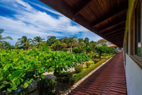 Villa Flamingo 16, Beach Chic | An Elegant Luxury Recently Remodeled Condominium: Coastal Elegance Redefined thumbnail