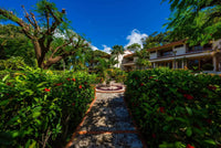 Villa Flamingo 16, Beach Chic | An Elegant Luxury Recently Remodeled Condominium: Coastal Elegance Redefined thumbnail
