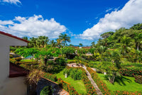 Villa Flamingo 16, Beach Chic | An Elegant Luxury Recently Remodeled Condominium: Coastal Elegance Redefined thumbnail