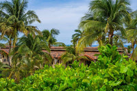Villa Flamingo 16, Beach Chic | An Elegant Luxury Recently Remodeled Condominium: Coastal Elegance Redefined thumbnail