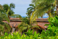 Villa Flamingo 16, Beach Chic | An Elegant Luxury Recently Remodeled Condominium: Coastal Elegance Redefined thumbnail