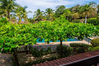 Villa Flamingo 16, Beach Chic | An Elegant Luxury Recently Remodeled Condominium: Coastal Elegance Redefined thumbnail