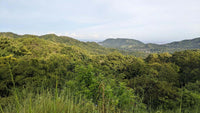 Lot 22B Pacific Heights Playa Potrero! Views, Nature, Privacy, Water and Building Permit!: Nature's Canvas Beckons thumbnail
