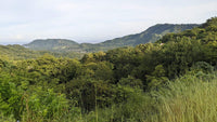 Lot 22B Pacific Heights Playa Potrero! Views, Nature, Privacy, Water and Building Permit!: Nature's Canvas Beckons thumbnail