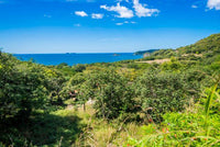 Playa Prieta - Last Beachfront Development Parcel: The Final Frontier of Beachfront Living thumbnail