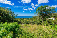 Playa Prieta - Last Beachfront Development Parcel: The Final Frontier of Beachfront Living thumbnail