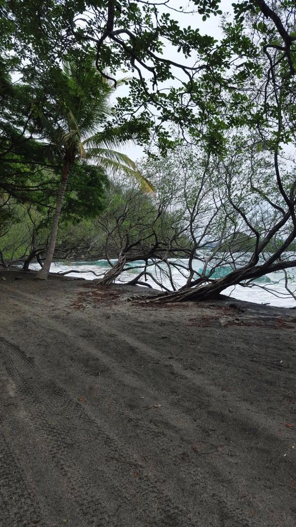Playa Prieta - Last Beachfront Development Parcel: The Final Frontier of Beachfront Living