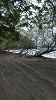 Playa Prieta - Last Beachfront Development Parcel: The Final Frontier of Beachfront Living thumbnail