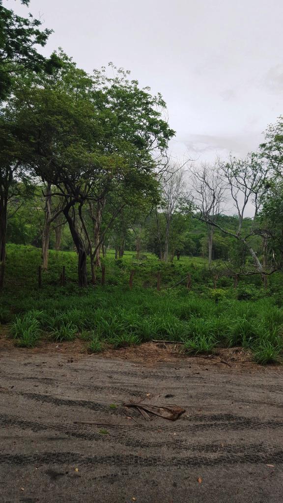 Playa Prieta - Last Beachfront Development Parcel: The Final Frontier of Beachfront Living