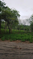 Playa Prieta - Last Beachfront Development Parcel: The Final Frontier of Beachfront Living thumbnail