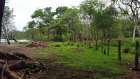 Playa Prieta - Last Beachfront Development Parcel: The Final Frontier of Beachfront Living thumbnail