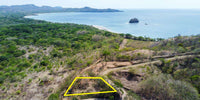 1/4 Acre lot only steps away from a pristine undiscovered beach near Flamingo: Prime Coastal Parcel thumbnail