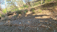 Large Lot by The Beach thumbnail