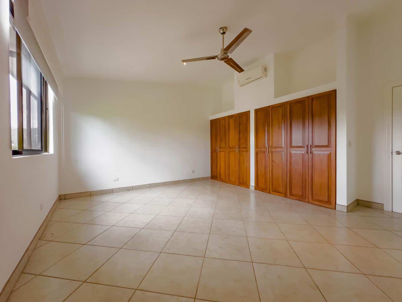 Paradizio 302: Your Paradise Found