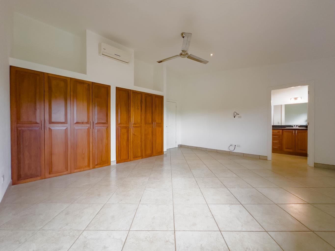 Paradizio 302: Your Paradise Found