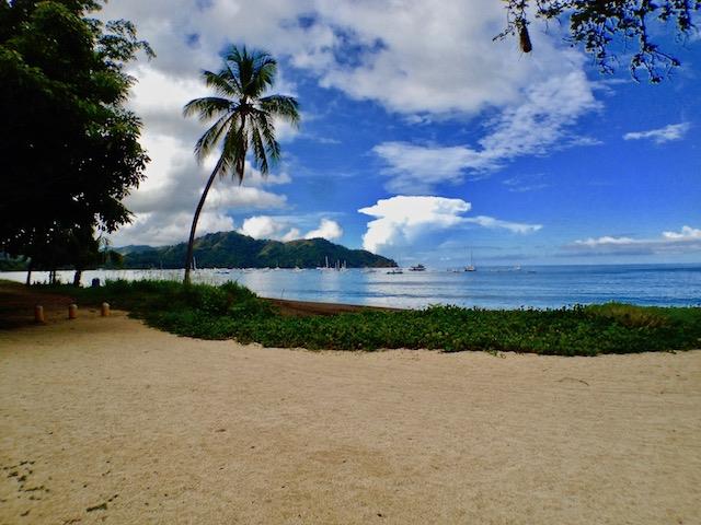 Pacifico C-406-Great Ocean View: Ocean Views from Every Angle
