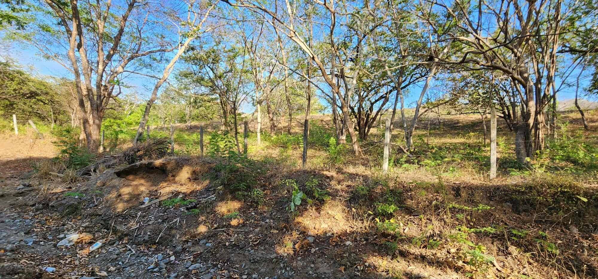 Large Lot by The Beach