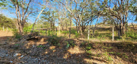 Large Lot by The Beach thumbnail