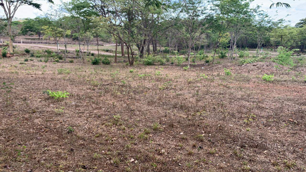 Lot 5 – Matapalo Springs