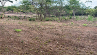 Lot 5 – Matapalo Springs thumbnail