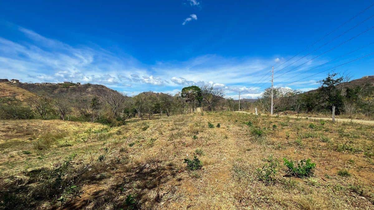 Development Opportunity - 54 Lots + Common Areas