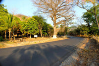 Flamingo beach development Property, Suite Flamingo beach development Property: Beachside Development Opportunity thumbnail