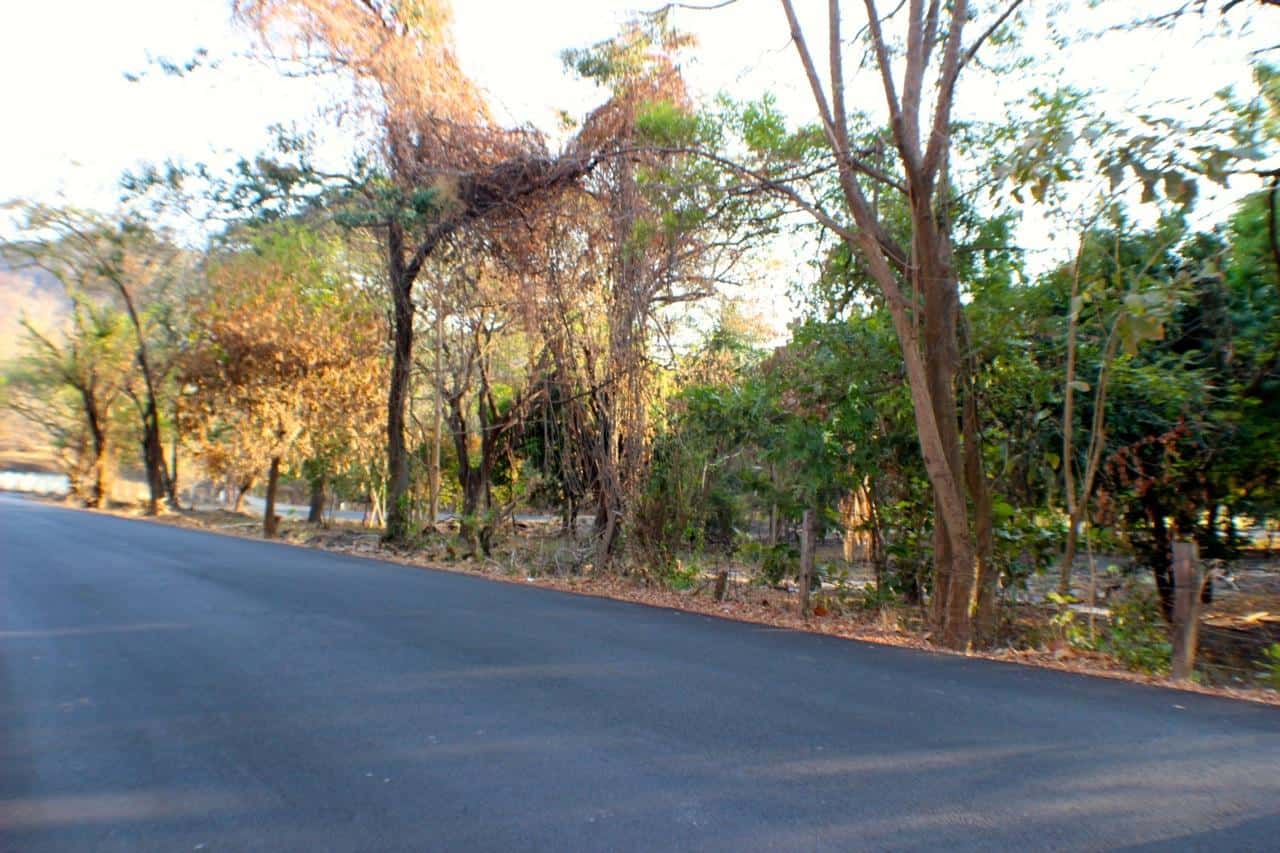 Flamingo beach development Property, Suite Flamingo beach development Property: Beachside Development Opportunity
