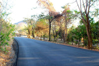 Flamingo beach development Property, Suite Flamingo beach development Property: Beachside Development Opportunity thumbnail