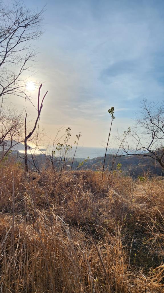 Ocean View Lot, Altos del Mar