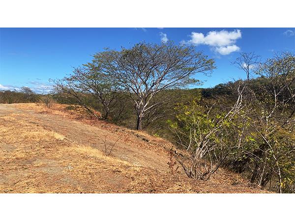 Vistas de Flamingo Lot 3, 360 View of Hills, Valley, and Ocean: Panoramic Coastal Parcel