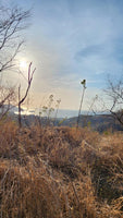 Ocean View Lot, Altos del Mar thumbnail