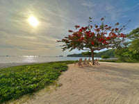 Villas Diria: Your Villa Oasis thumbnail
