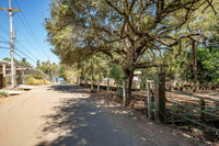 Brenes Coco Concession Lot: A Concession to Coastal Living thumbnail