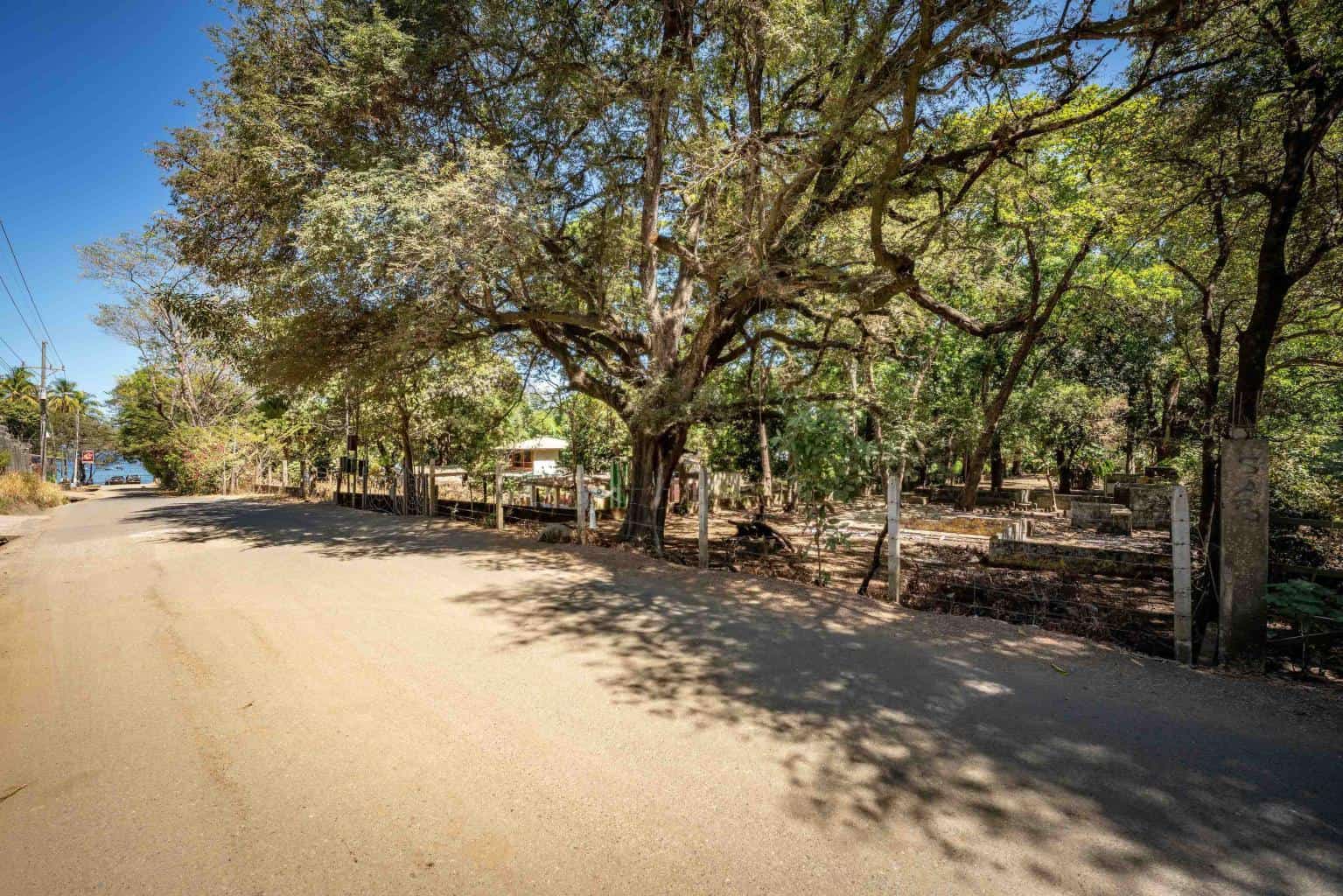 Brenes Coco Concession Lot: A Concession to Coastal Living