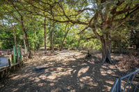 Brenes Coco Concession Lot: A Concession to Coastal Living thumbnail