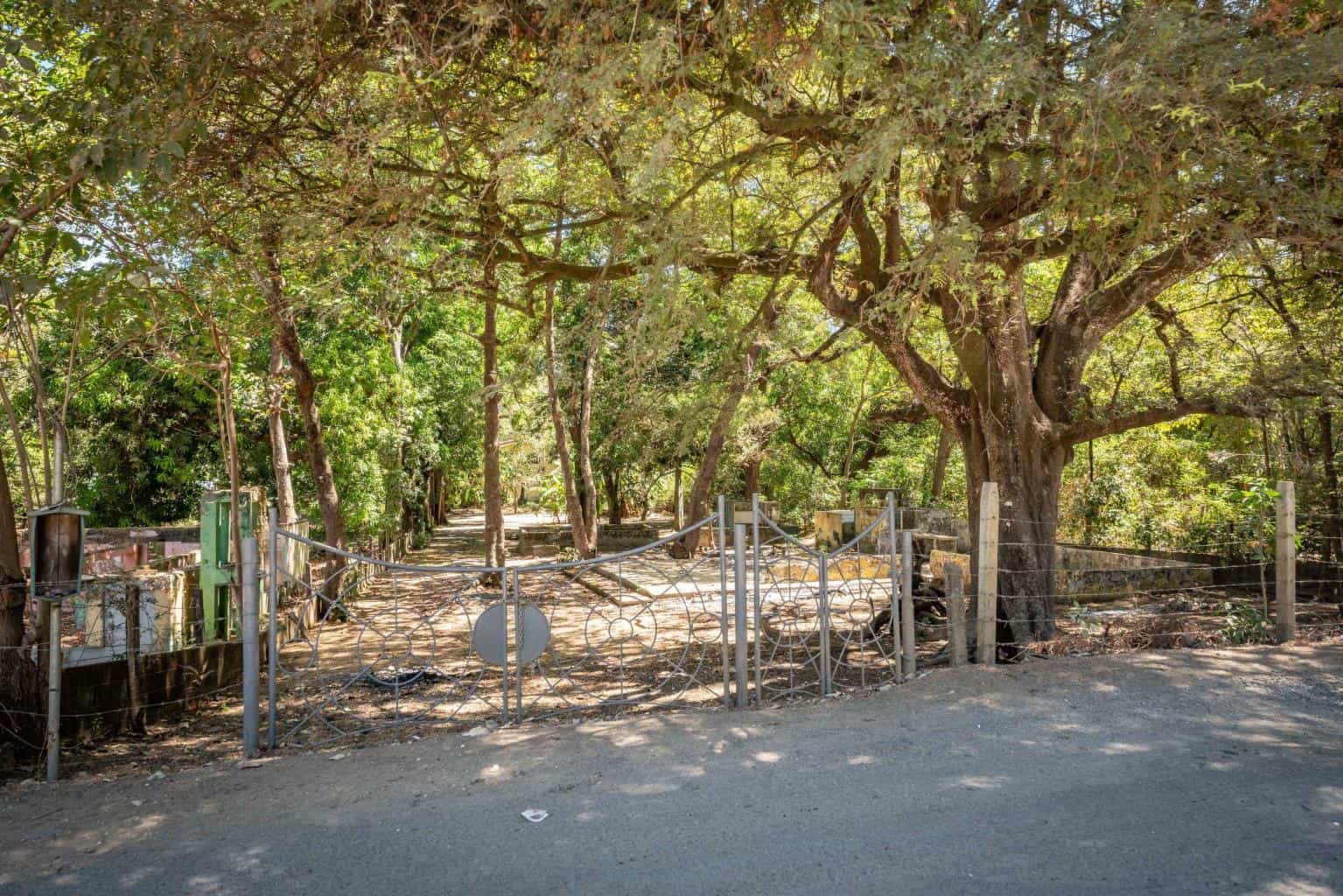 Brenes Coco Concession Lot: A Concession to Coastal Living