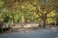 Brenes Coco Concession Lot: A Concession to Coastal Living thumbnail