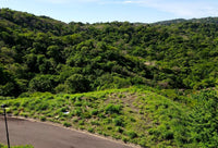 Pacifico Lots 73 & 74 Playas del Coco: Prime Lots in Playas del Coco thumbnail