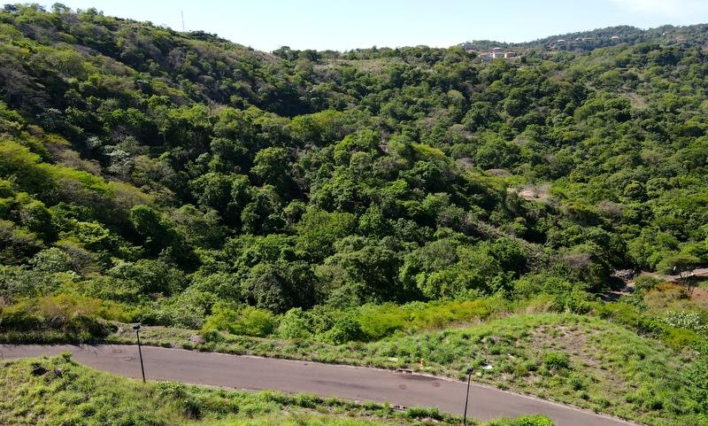 Pacifico Lots 73 & 74 Playas del Coco: Prime Lots in Playas del Coco