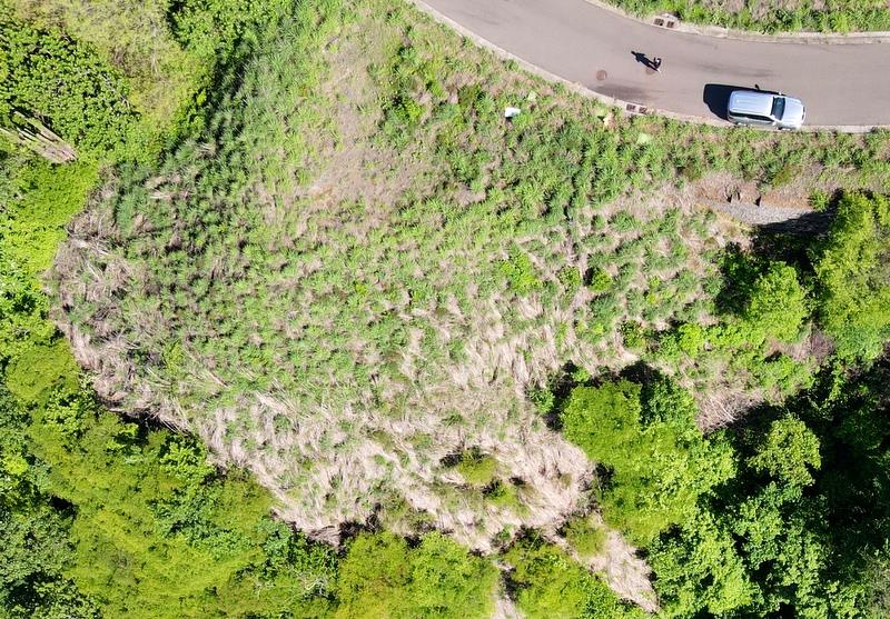 Pacifico Lots 73 & 74 Playas del Coco: Prime Lots in Playas del Coco