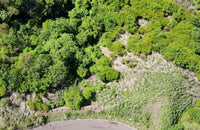 Pacifico Lots 73 & 74 Playas del Coco: Prime Lots in Playas del Coco thumbnail