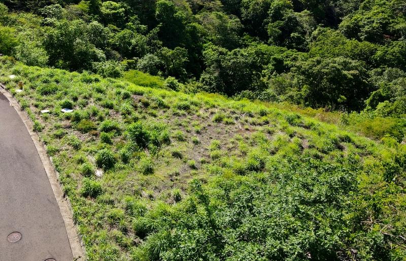 Pacifico Lots 73 & 74 Playas del Coco: Prime Lots in Playas del Coco