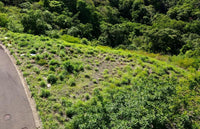 Pacifico Lots 73 & 74 Playas del Coco: Prime Lots in Playas del Coco thumbnail