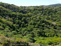 Pacifico Lots 73 & 74 Playas del Coco: Prime Lots in Playas del Coco thumbnail
