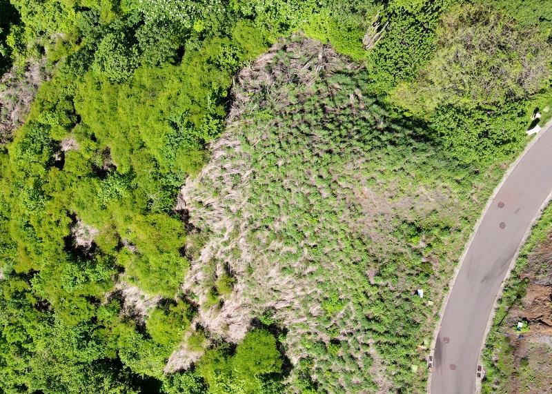 Pacifico Lots 73 & 74 Playas del Coco: Prime Lots in Playas del Coco